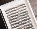 Lash Tray