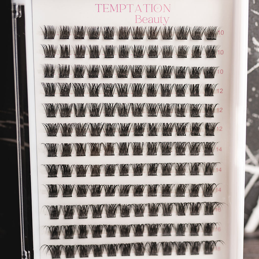Lash Tray