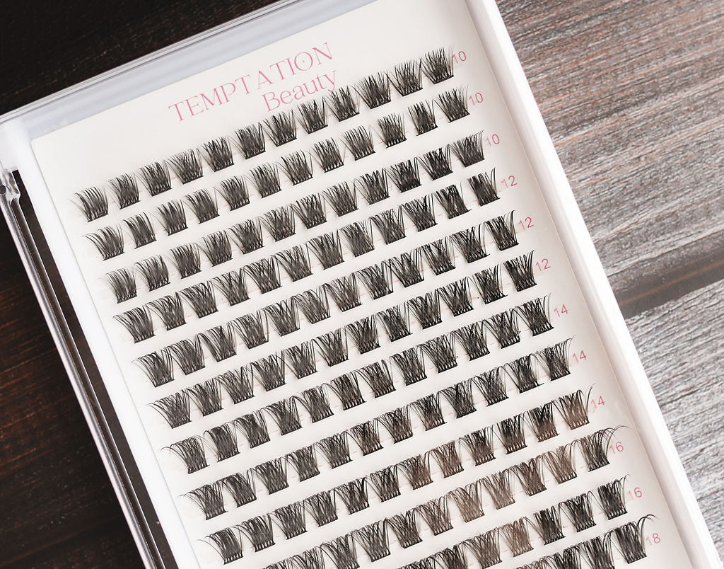 Lash Tray